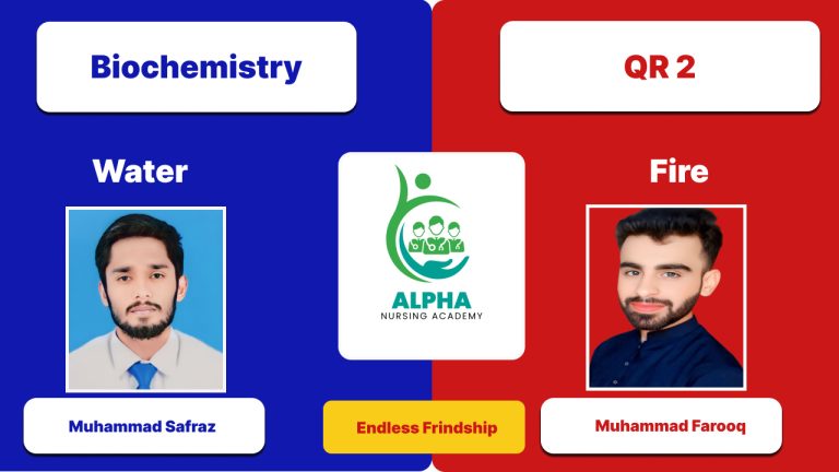 Alpha Nursing Academy